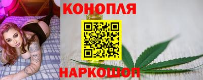 индика Малгобек