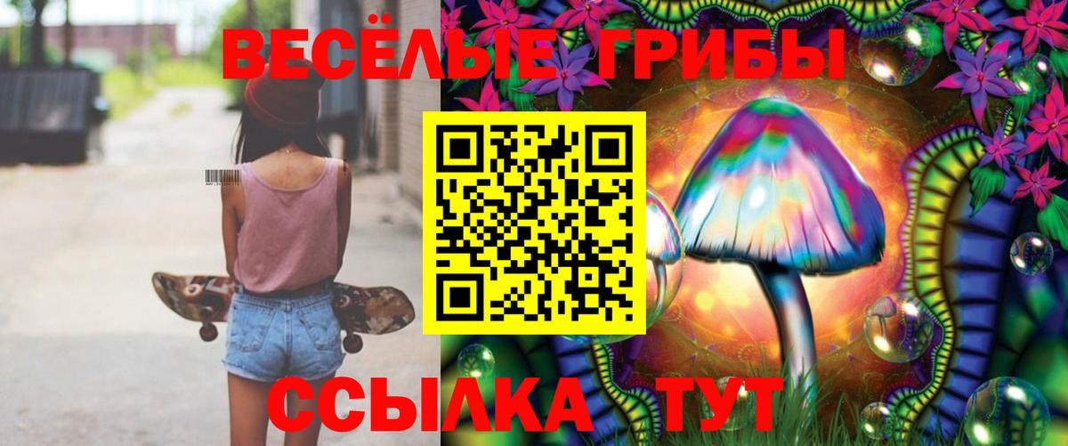 Псилоцибиновые грибы Magic Shrooms  цены наркотик  Скопин  Псилоцибиновые грибы GOLDEN TEACHER  Вход с VPN 